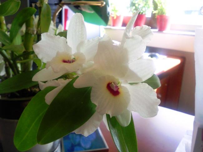 Name:  SNC00615.jpg
Views: 1440
Size:  32.4 KB