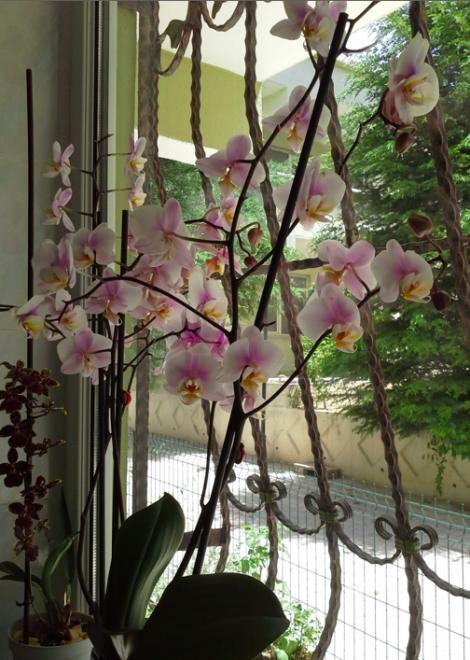 Name:  Screen Shot 2013-11-16 at 7.27.32 PM.jpg
Views: 1844
Size:  62.3 KB