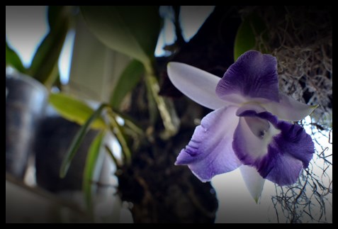 Name:  DSC_0968.JPG
Views: 773
Size:  64.5 KB