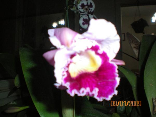 Name:  100_0037.jpg
Views: 1154
Size:  26.3 KB