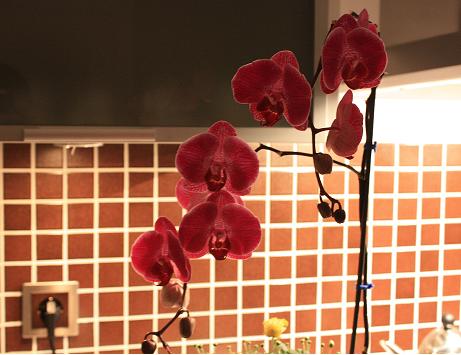 Name:  PH-2.jpg
Views: 3240
Size:  30.4 KB