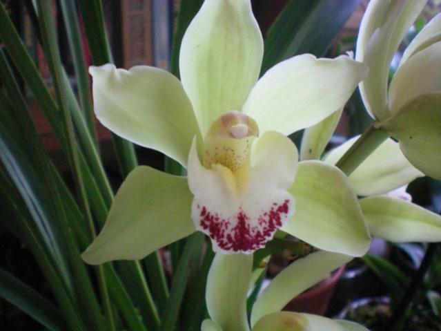 Name:  000_0014.jpg
Views: 2747
Size:  33.7 KB