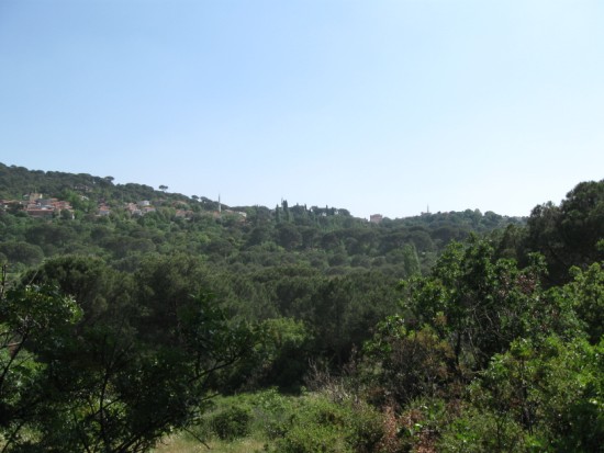Name:  Resim 008 (550 x 413).jpg
Views: 1768
Size:  52.7 KB