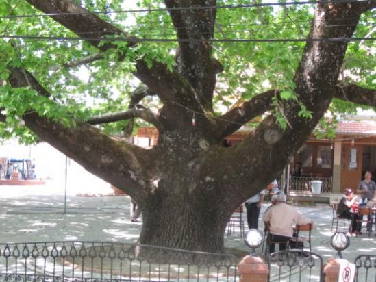 Name:  Resim 011 (550 x 413).jpg
Views: 1796
Size:  49.6 KB