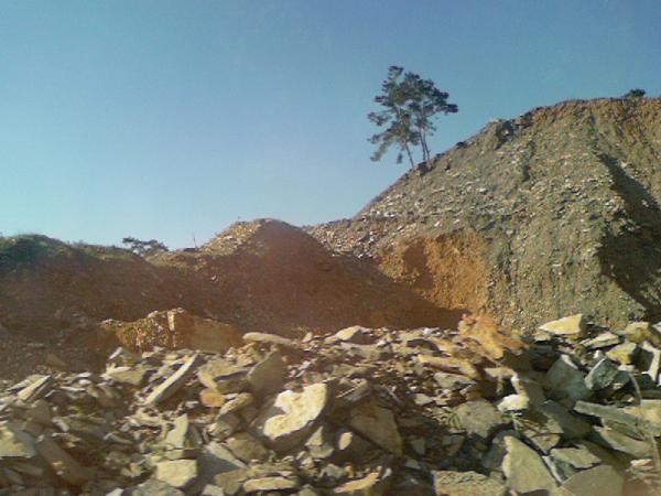 Name:  Photo-0388.jpg
Views: 3073
Size:  42.9 KB