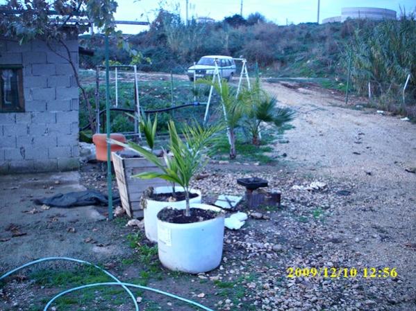 Name:  DSCI0203.jpg
Views: 2085
Size:  65.7 KB
