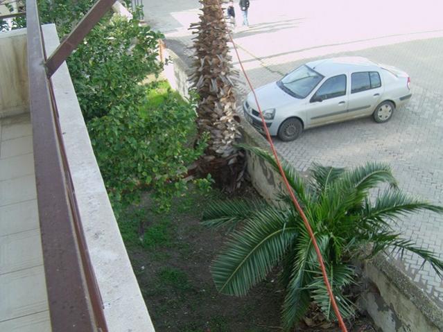 Name:  palmiye (23).jpg
Views: 8158
Size:  54.7 KB