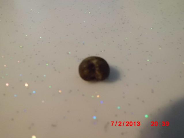 Name:  CIMG3222.jpg
Views: 1771
Size:  13.6 KB