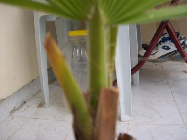 Name:  100_1625.jpg
Views: 883
Size:  26.4 KB