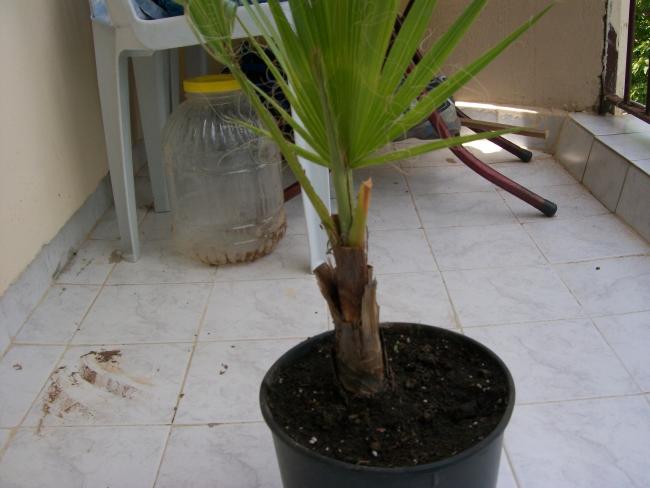 Name:  100_1630.jpg
Views: 1294
Size:  36.3 KB