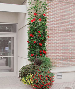 Name:  04196778-21_med.jpg
Views: 7773
Size:  27.8 KB