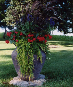 Name:  04196778-05_med.jpg
Views: 4956
Size:  31.7 KB
