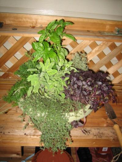 Name:  img_1216.jpg
Views: 4277
Size:  40.9 KB