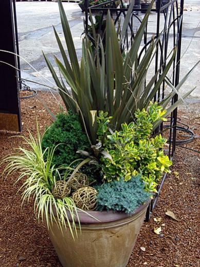 Name:  hardy-container-garden.jpg
Views: 1770
Size:  59.6 KB
