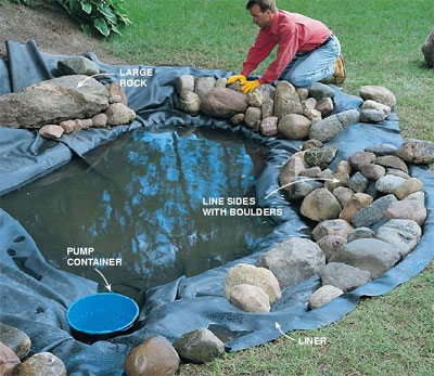 Name:  water-garden.jpg
Views: 26973
Size:  56.0 KB