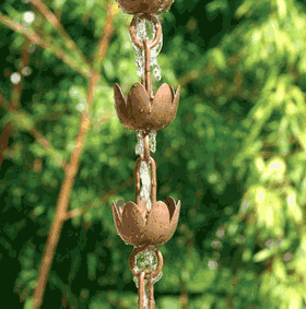 Name:  rainchaintulip.gif
Views: 22184
Size:  35.3 KB