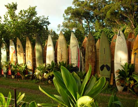 Name:  surfboard-fence-1-18071.jpg
Views: 25382
Size:  37.1 KB