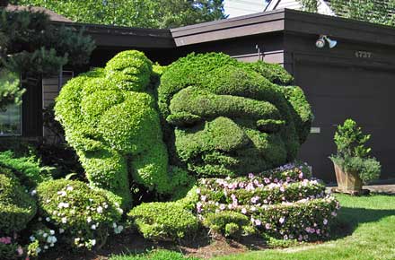 Name:  sand-point-topiary.jpg
Views: 10310
Size:  35.4 KB