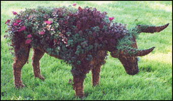 Name:  GP-WallStreetBull_ni.jpg
Views: 8615
Size:  45.4 KB