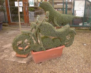 Name:  Topiary_bike3.jpg
Views: 9119
Size:  28.0 KB