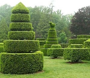 Name:  topiary.jpg
Views: 12156
Size:  34.2 KB