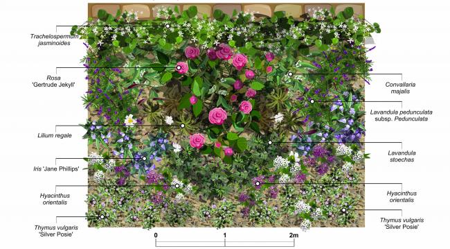 Name:  glgrup-1-perfumegarden.jpg
Views: 1174
Size:  61.2 KB