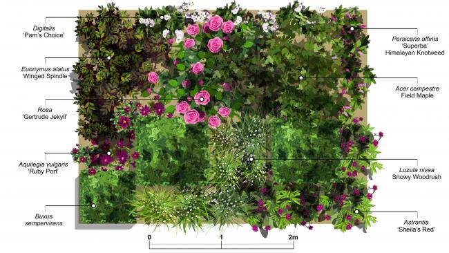 Name:  glgrup-2qvc garden.jpg
Views: 1344
Size:  58.5 KB