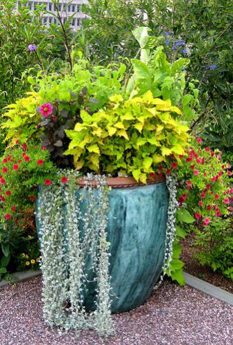 Name:  large-container-garden-lg.jpg
Views: 6122
Size:  59.8 KB