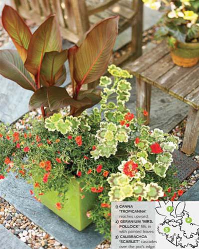 Name:  04.jpg
Views: 3059
Size:  48.4 KB