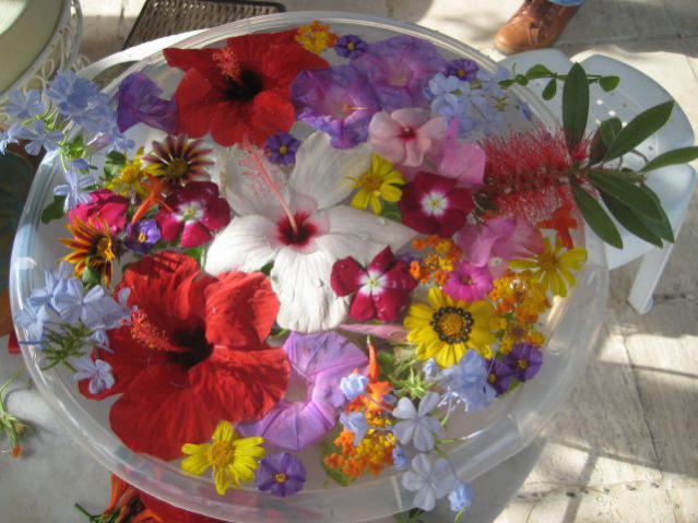 Name:  IMG_3723.jpg
Views: 3072
Size:  53.4 KB