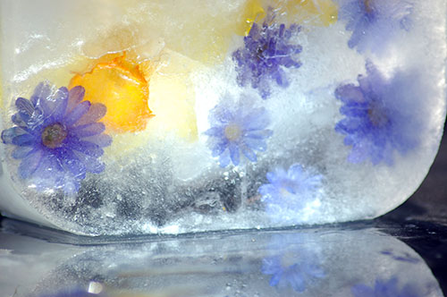 Name:  jaoheer3.jpg
Views: 3508
Size:  61.7 KB