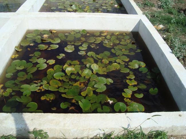 Name:  N. Peyzaj Resim 23.jpg
Views: 13713
Size:  57.8 KB