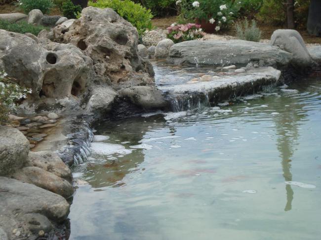 Name:  N. Peyzaj Resim 30.jpg
Views: 4419
Size:  55.2 KB