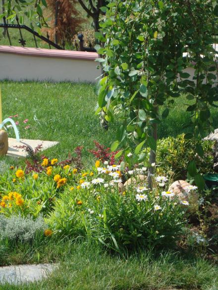 Name:  N. Peyzaj Resim 56.jpg
Views: 5012
Size:  74.7 KB