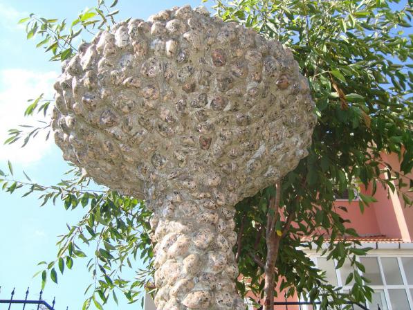 Name:  N. Peyzaj Resim 64.jpg
Views: 4182
Size:  71.1 KB