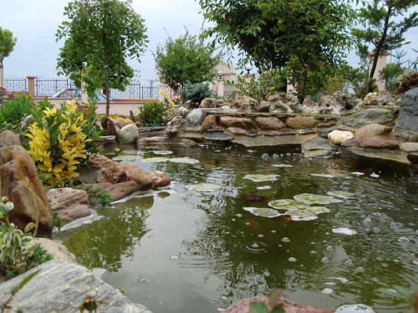 Name:  N. Peyzaj Resim 55.jpg
Views: 4100
Size:  71.3 KB