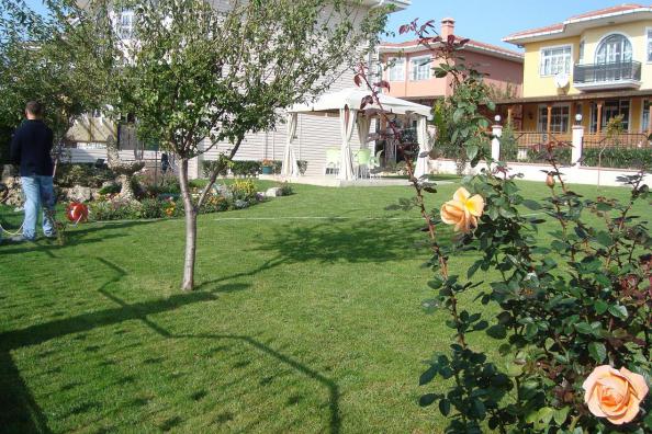 Name:  N. Peyzaj Resim 69.jpg
Views: 5505
Size:  70.5 KB