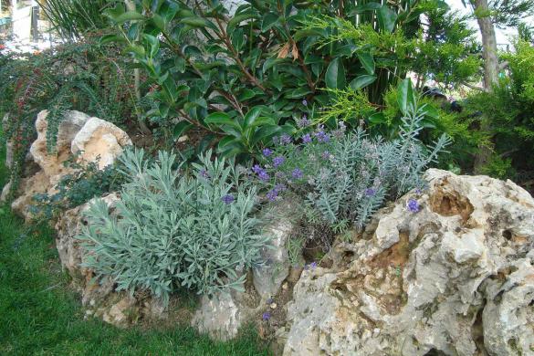 Name:  N. Peyzaj Resim 71.jpg
Views: 8104
Size:  70.2 KB