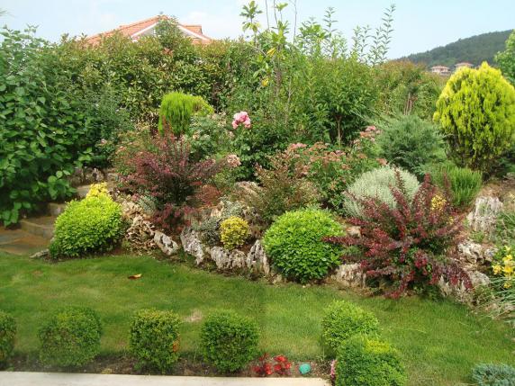 Name:  N. Peyzaj Resim 82.jpg
Views: 4041
Size:  70.2 KB