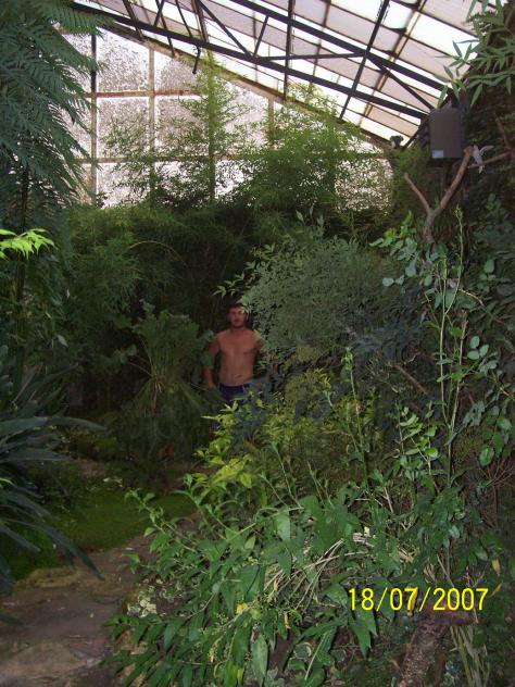 Name:  N. Peyzaj Resim 92.jpg
Views: 2216
Size:  74.4 KB