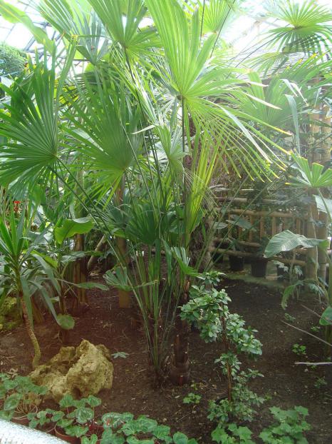 Name:  N. Peyzaj Resim 93.jpg
Views: 2206
Size:  73.4 KB