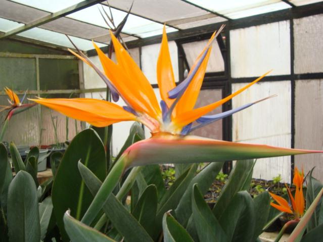 Name:  N. Peyzaj Resim 107.jpg
Views: 5019
Size:  44.8 KB