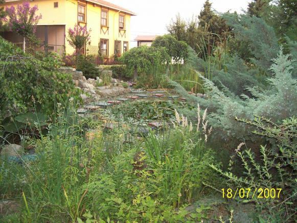 Name:  N. Peyzaj Resim 115.jpg
Views: 2603
Size:  71.1 KB