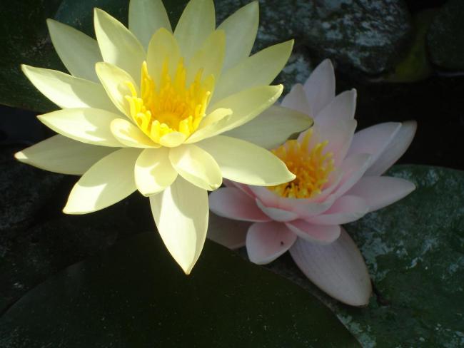 Name:  N. Peyzaj Resim 137.jpg
Views: 1728
Size:  30.7 KB