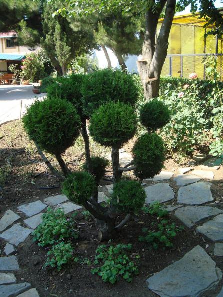 Name:  N. Peyzaj Resim 144.jpg
Views: 4094
Size:  72.6 KB
