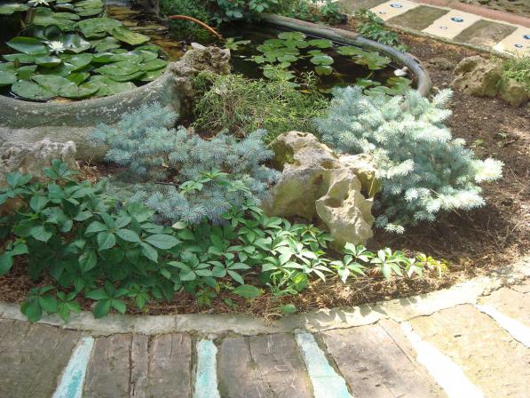 Name:  N. Peyzaj Resim 148.jpg
Views: 2605
Size:  70.4 KB