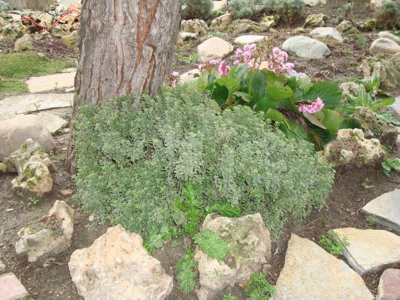 Name:  N. Peyzaj Resim 149.jpg
Views: 3762
Size:  70.1 KB