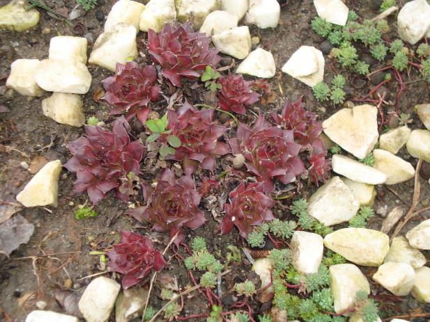 Name:  N. Peyzaj Resim 154.jpg
Views: 2333
Size:  71.2 KB