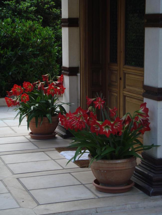 Name:  N. Peyzaj Resim 169.jpg
Views: 2256
Size:  68.2 KB