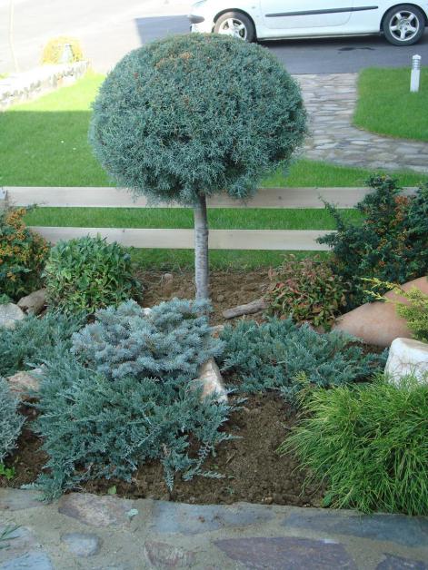 Name:  N. Peyzaj Resim 172.jpg
Views: 3033
Size:  71.4 KB